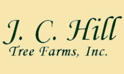 J.C. Hill Tree Farm
